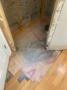 IMG-20250623-WA0057